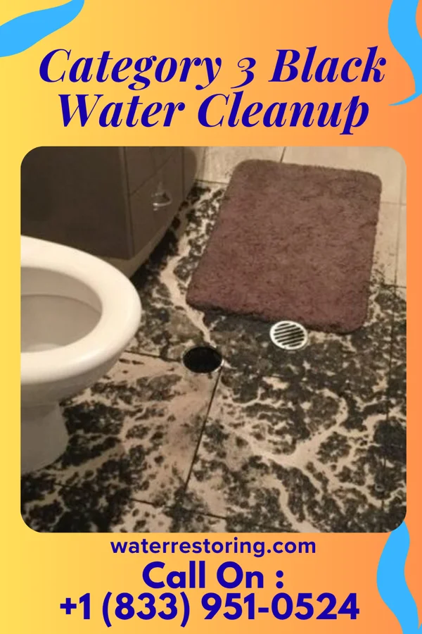 Category 3 Black Water Cleanup in Jacksonville, IA