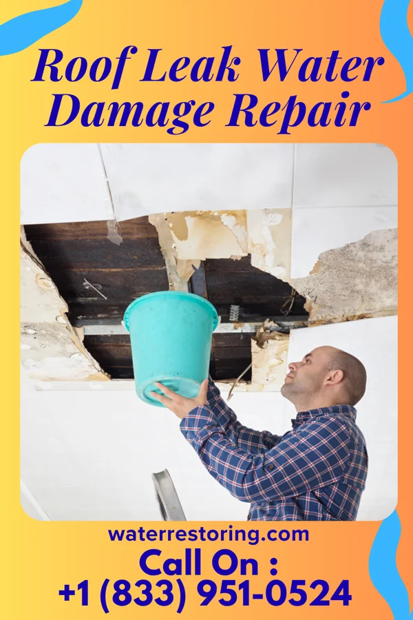 Roof Leak Water Damage Repair in Jacksonville, IA