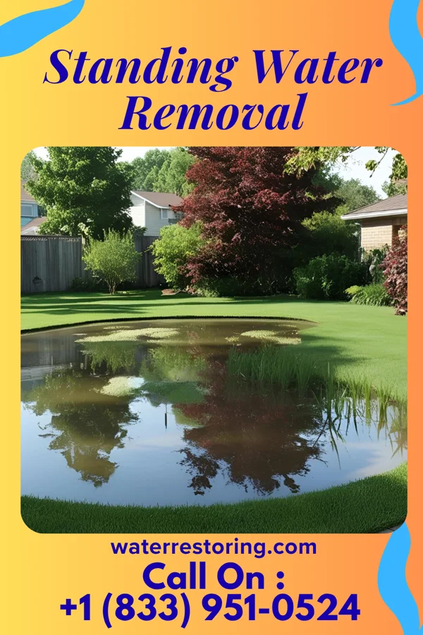 Standing Water Removal in Jacksonville, IA